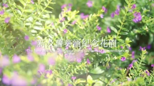 葵涌新及舊紀念花園